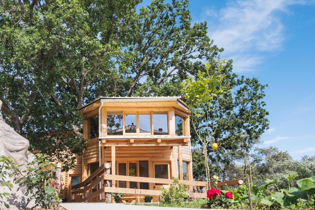 Romantic Tree House Kato Pavliana Экстерьер фото