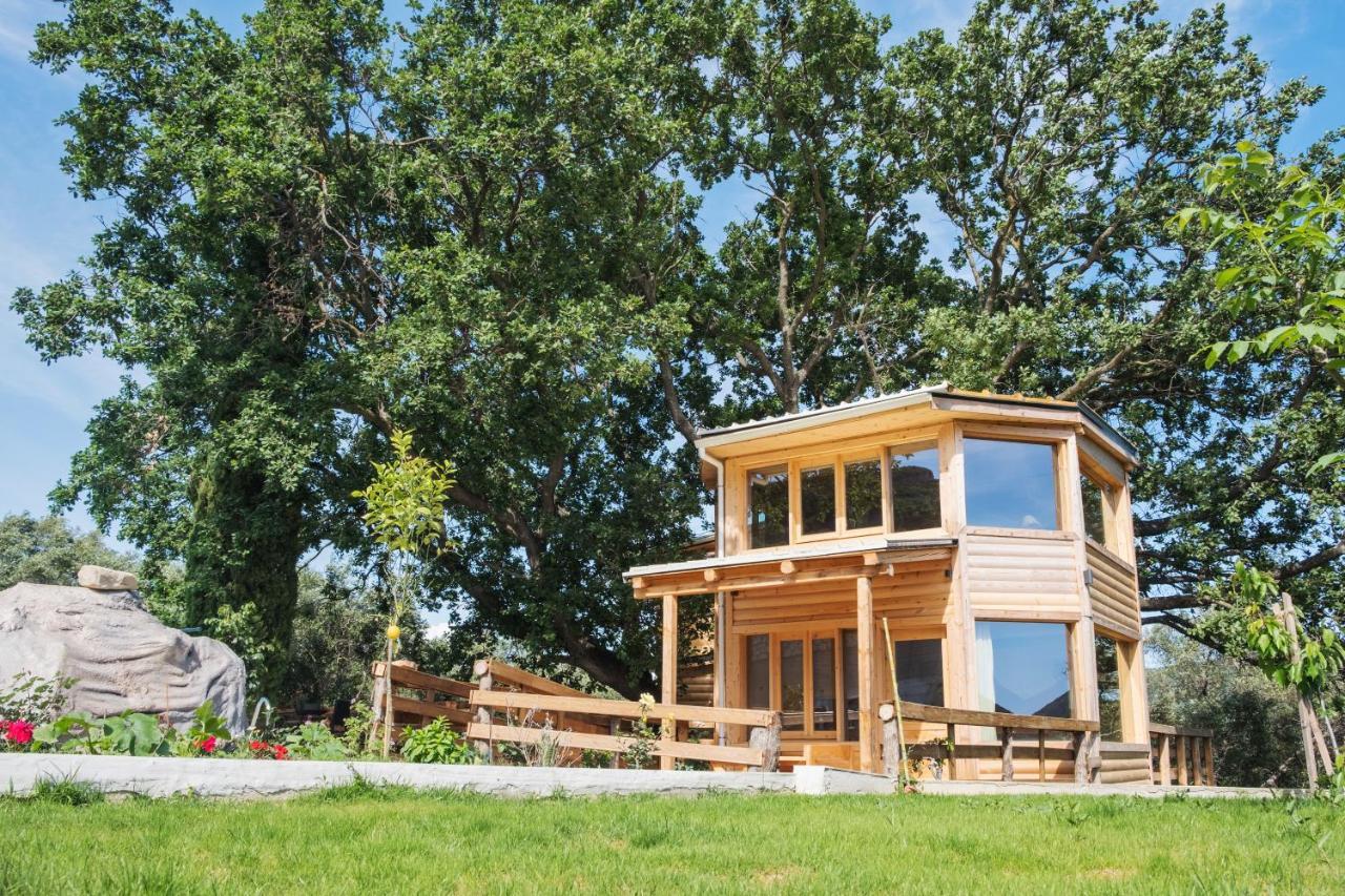 Romantic Tree House Kato Pavliana Экстерьер фото